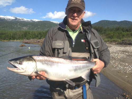 Ron Hunter holding a bright female 20lb Chum caught on the Kitimat River, July 5th
